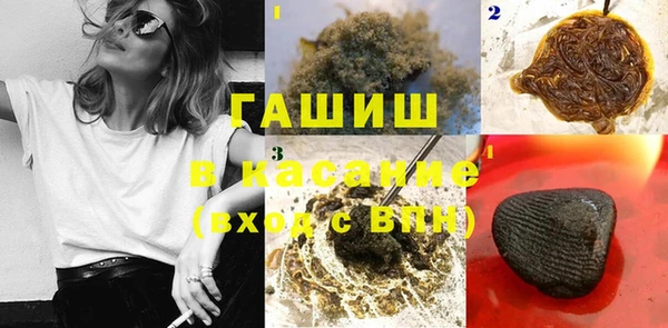 ECSTASY Алзамай